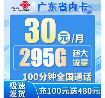 联通粤广卡30元295G+100分钟